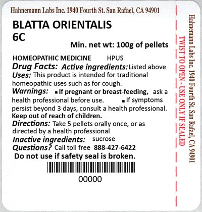 Blatta Orientalis 6c 100g (Blatta Orientalis 6c 100g)